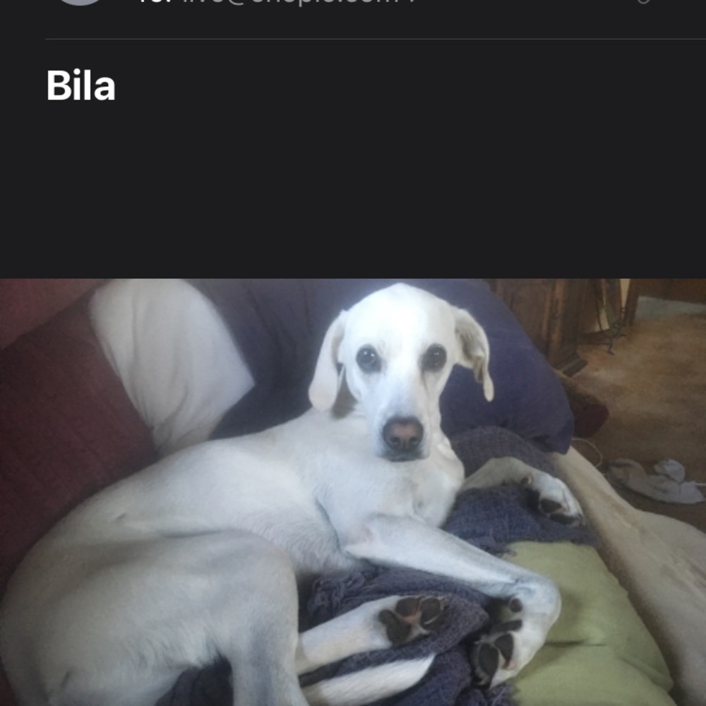 My beloved sweet princess Bila